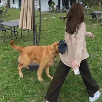小镇疑云 第二季